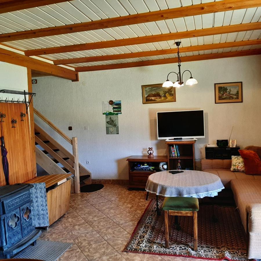 Kuca Za Odmor Gale Villa Delnice Dış mekan fotoğraf